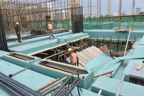 2021第五屆中國任丘模板腳手架展銷對接峰會圓滿落幕 建筑材料行業的新里程碑